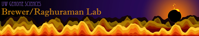 Main logo